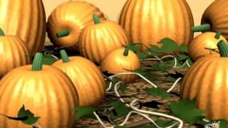 Free Pumpkin Field Screensaver - www.screensaverspc.com