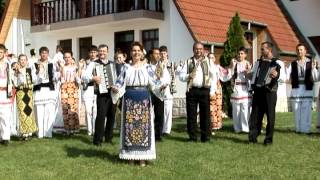 Mihaela Petrovici - Mai bage Ilie k-play
