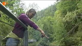 Magdalena Neuner greift wieder an
