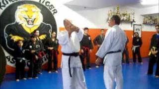 Seminário Gão Mestre Park Sung Jae