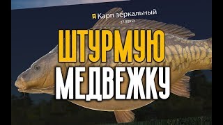 РУССКАЯ РЫБАЛКА 4. Фарм серебра на Медвежке. Охота на трофеев!