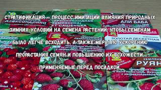 Посадка клубники на рассаду //Земляника// Стратификация // Рассада // Огород 2018 // Жизнь в деревне