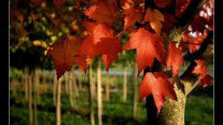 Paul Mauriat - Les feuilles mortes "Autumn leaves" (1966)