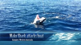 Mako Shark attacks boat