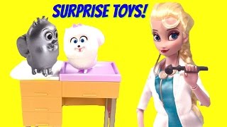 Doctor Elsa Toy Surprise Show! Secret Life of Pets, Dory, Anna Get !