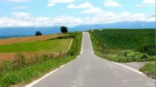 美瑛の丘「パッチワークの路」、絶景の中を走ってみた @北海道美瑛町 Hills in Biei Hokkaido