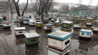 Стихия 2018. Точильное. Алтайский край.