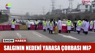 Salgının nedeni yarasa çorbası mı?