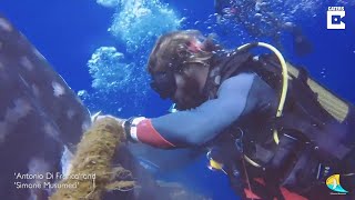 Maldive, il salvataggio dello squalo balena: i sub lo liberano dalla rete