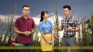 S VIỆT NAM: DU LỊCH THÁI BÌNH