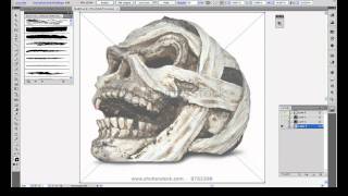 Wacom Tablet Basics - Adobe Illustrator
