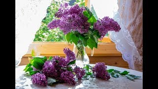 ЖЕЛАЮ ВСЕМ СЧАСТЬЯ И ХОРОШЕГО НАСТРОЕНИЯ!