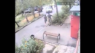 Мужчина едва не погиб под колесами, спасая свою картошку