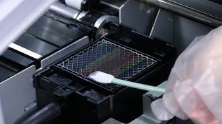 Epson SureColor SC-F9300 szokásos tisztítás