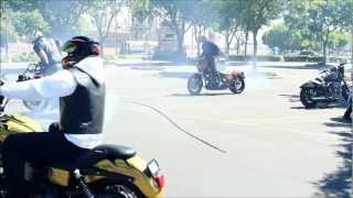 harley wheelies, burnouts, ( FXR, FXDX, BAGGERS )
