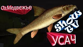 (русская рыбалка 4) #Оз.Медвежье усач на фидеры и сыр