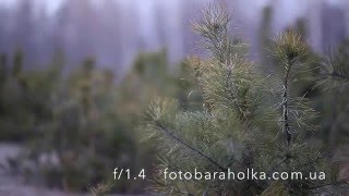 Обзор объектива Carl Zeiss PLANAR T* 85mm f/1.4 ZE для Canon глубина резкости на f/1.4