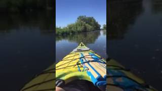 Kayaking Nine Springs Creek in Madison, Wisconsin-MESBA