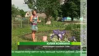 Трудовое лето курских школьников