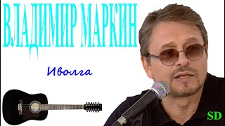 Владимир Маркин - Иволга
