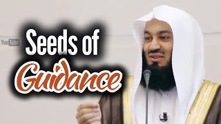 Seeds of Guidance - Mufti Ismail Menk