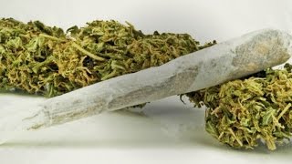 Marijuana laws challenging workplace drug testing