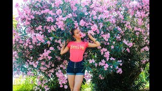 VLOG МОРЕ,СОЛНЦЕ,ЖАРА! АБХАЗИЯ! Наш вечер,рестораны))