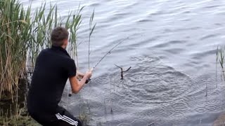 Рыбалка на закидушку и флет  в Краснодарском Крае! Белый Амур и Зеркальный Карп!