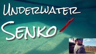 Underwater Senko - Bass Fishing Beast