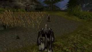 Gothic 2 Returning - Сектор Газа/Дурак