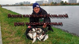Ловля плотвы на большой реке поздней осенью