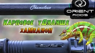 Карповое удилище Orient Rods Chamelion. Честный обзор