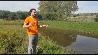 Sistema d'irrigazione in permacultura Sicilia