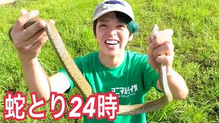 【大量捕獲】爬虫類ハンタータイガ２４時間蛇とりチャレンジ！！！