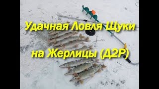 Удачная Ловля Щуки на Жерлицы (Д2Р)