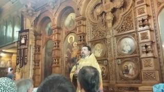 Слово протоиерея Георгия Преображенского о посещении родины прп. Серафима Вырицкого