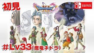 【初見】ドラゴンクエスト11過ぎ去りし時を求めてS（DRAGON QUEST XIS）＃19　魔竜ネドラ