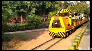 Nehru Zoological Park Overview | Zoo in Hyderabad, Telangana