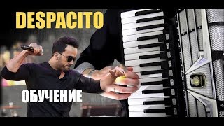 Как играть Despacito на аккордеоне разбор песни на баяне
