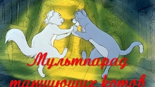 Прикольные коты мультяшки! Коты танцуют под песенку про черного кота!
