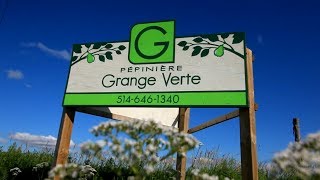 The Freedom Farm - The Green Barn Nursery