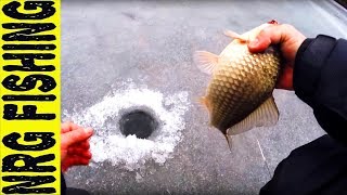 Ловля КАРАСЯ зимой со льда!