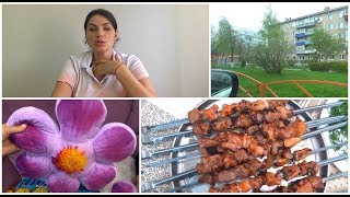 VLOG : Куда пропала / Шашлык с предыдущего видео / Гости /  Мама Вика