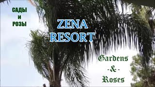 Сад на Средиземном море//Zena resort, Çamyuva, Kemer