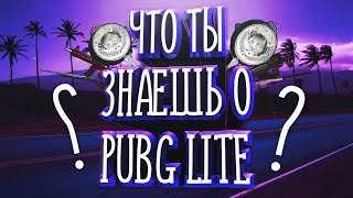 НА СКОЛЬКО ХОРОШО ТЫ ЗНАЕШЬ PUBG LITE?
