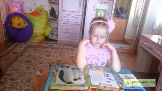 Тематическое занятие "Птицы"