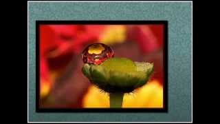 Paul Mauriat - Rain and tears (1968)