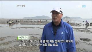한국기행 - Korea travel_서해 갯벌 4부, 그 섬에 길이 있다, 선재도_#001