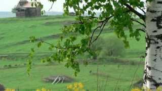 Ирина Стародубцева. "Маритана". Irina Starodubtseva. "Maritana"