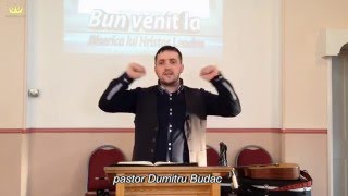 Suveranul - Dumitru Budac
